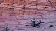 Coyote Buttes North 5228